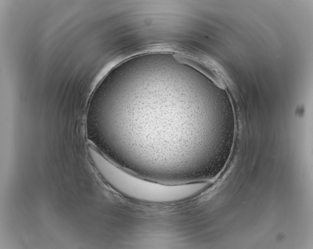 X0000091531097200709141430