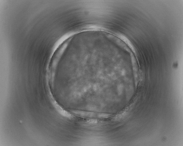 X0000091531098200709141430