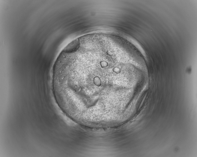 X0000091531099200709141430