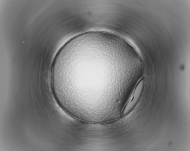 X0000091531100200709141430