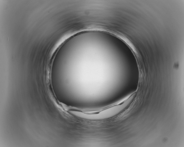 X0000091531101200709141430