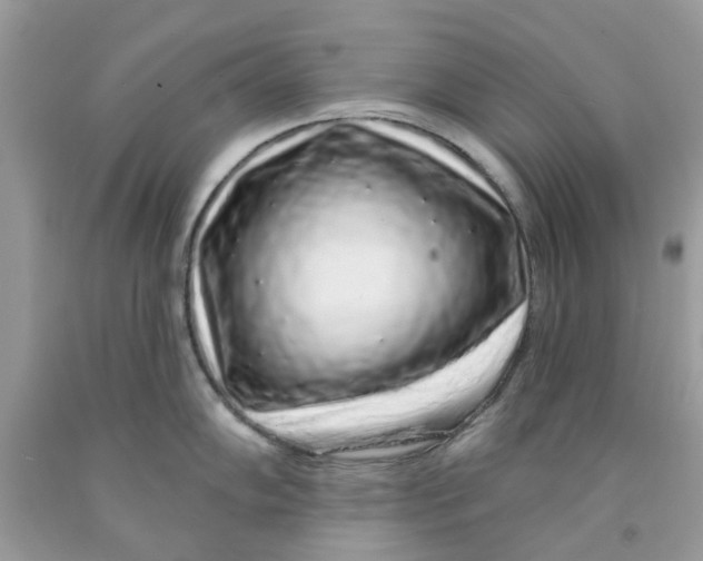X0000091531102200709141430