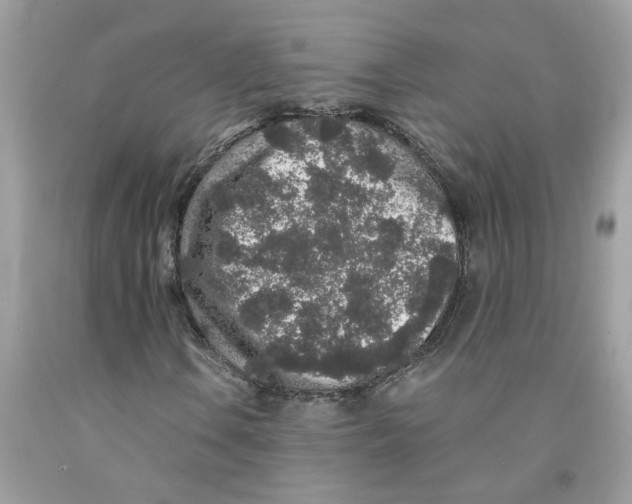 X0000091531106200709141429