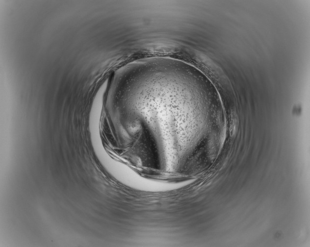 X0000091531108200709141429