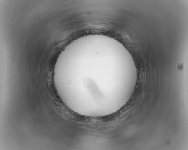 X0000091531109200709141429