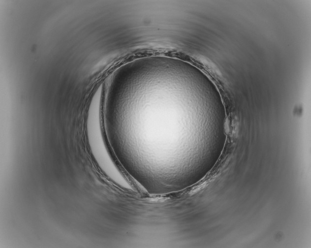 X0000091531110200709141429