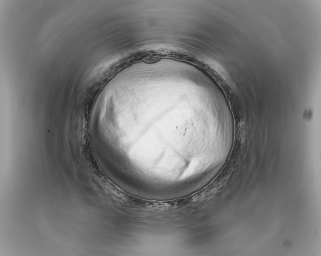 X0000091531111200709141429