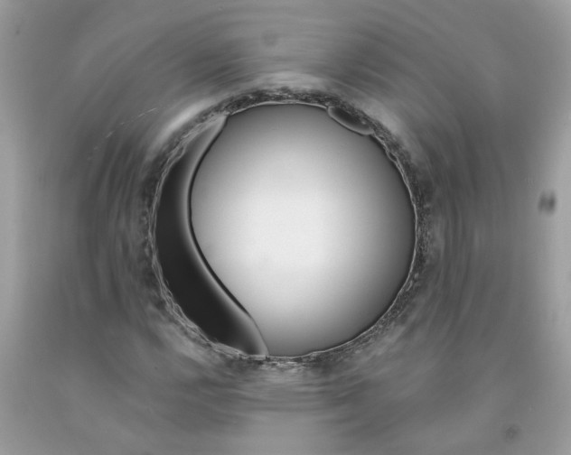 X0000091531112200709141429