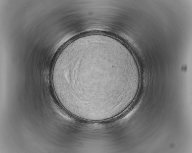 X0000091531113200709141429
