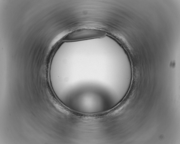 X0000091531114200709141429