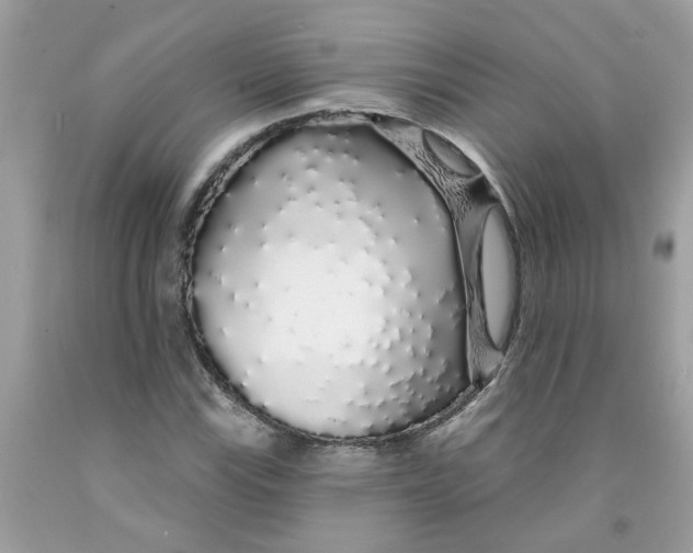 X0000091531115200709141429