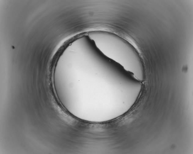 X0000091531116200709141429