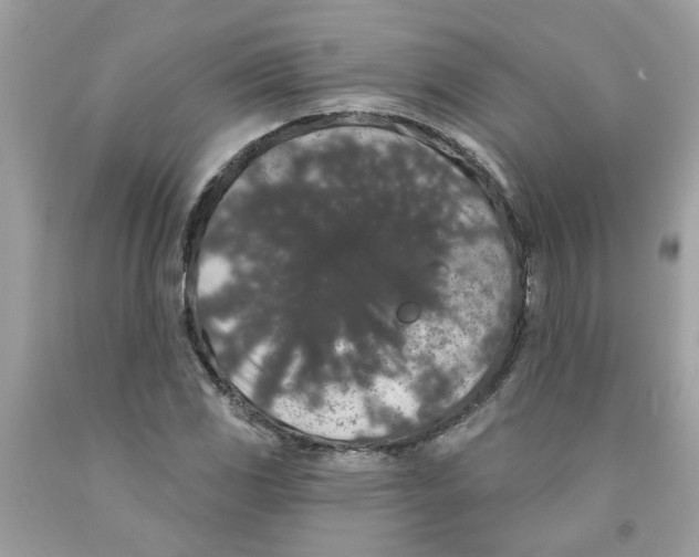 X0000091531117200709141429