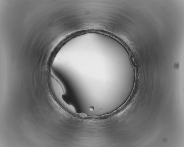 X0000091531118200709141429