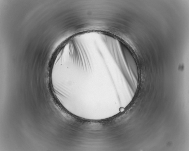 X0000091531119200709141429