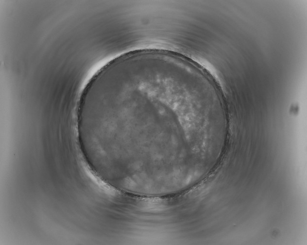 X0000091531120200709141429
