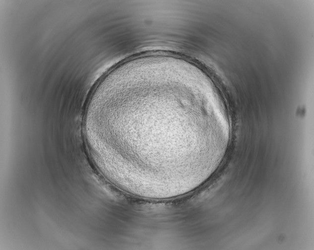 X0000091531121200709141429