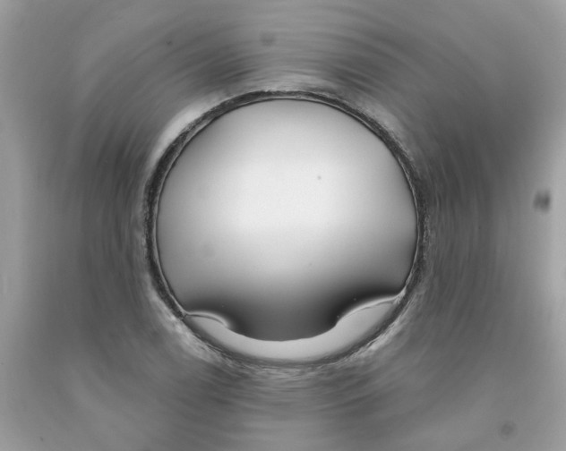 X0000091531122200709141430