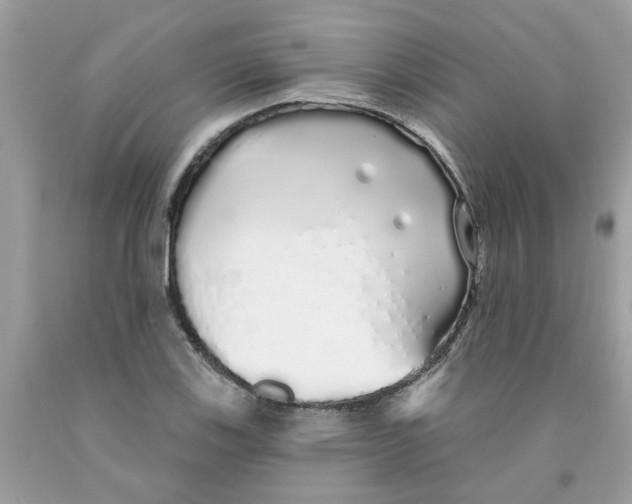 X0000091531123200709141430