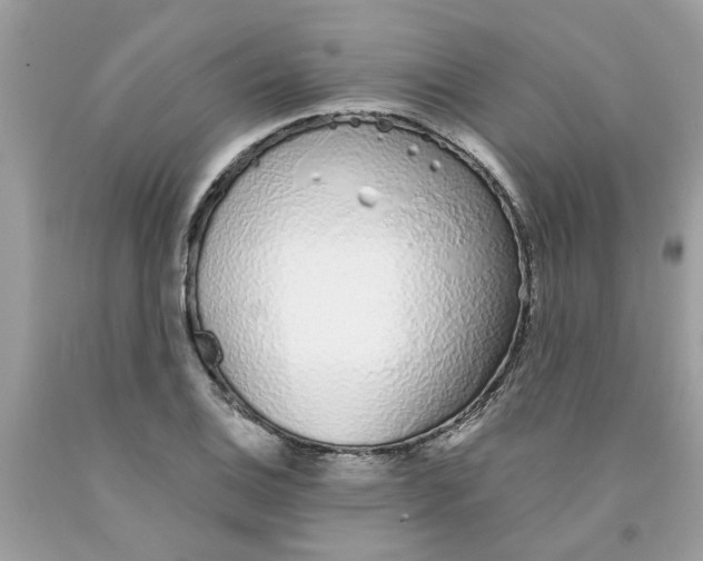 X0000091531124200709141430