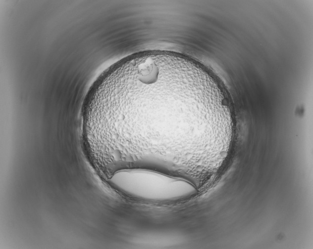 X0000091531125200709141430