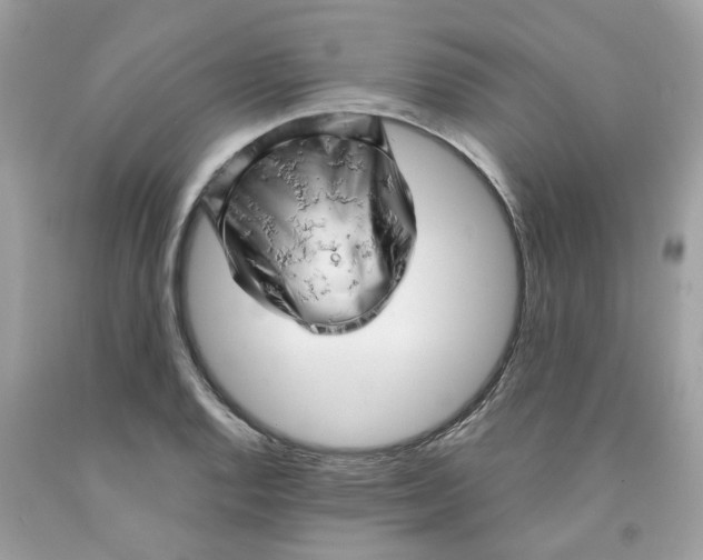 X0000091531128200709141430