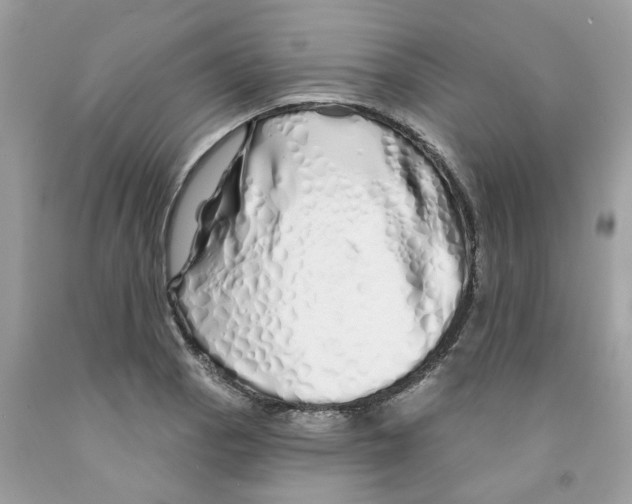 X0000091531129200709141430