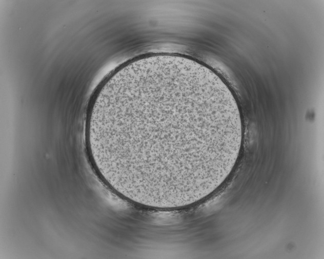 X0000091531130200709141430