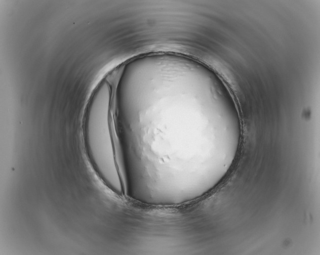 X0000091531133200709141430