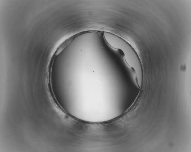 X0000091531136200709141430