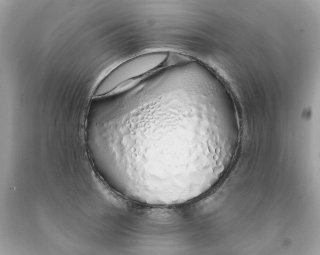 X0000091531137200709141430