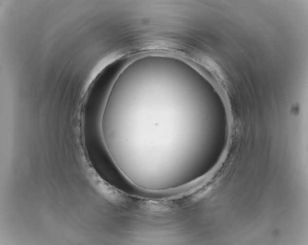 X0000091531138200709141430