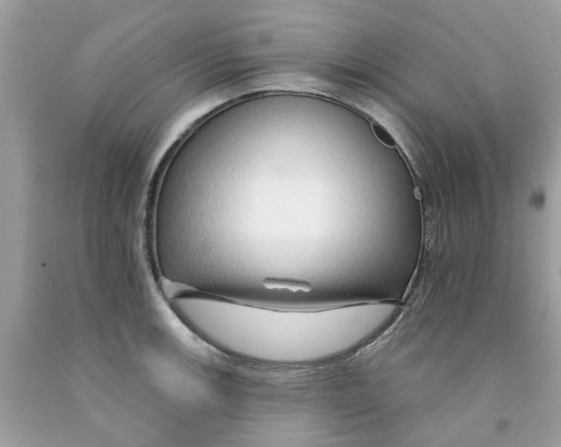 X0000091531139200709141430