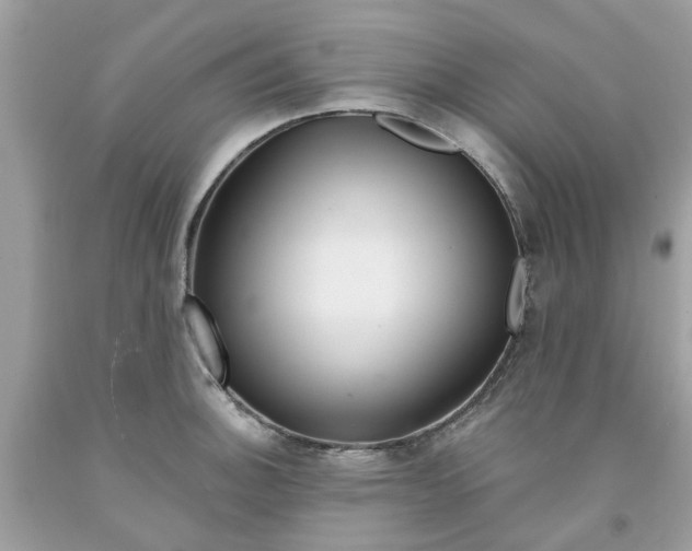 X0000091531140200709141430