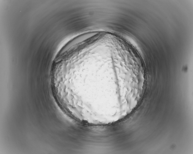 X0000091531141200709141430