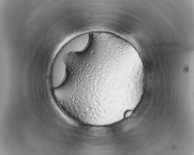 X0000091531142200709141430