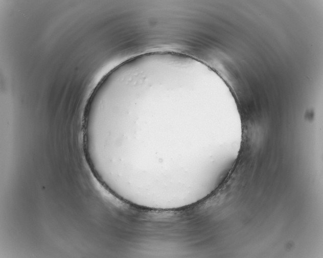X0000091531143200709141430
