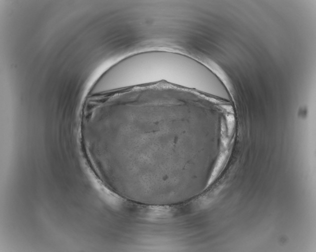 X0000091531144200709141430