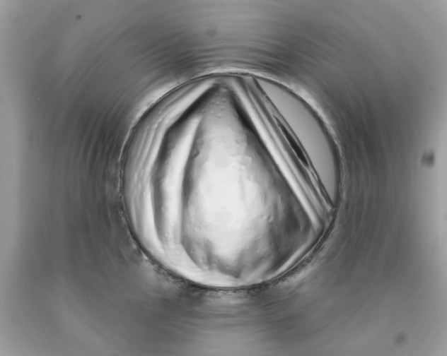 X0000091531145200709141430