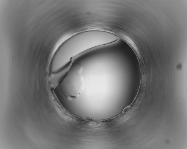 X0000091531146200709141430