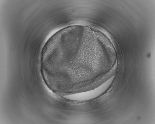 X0000091531147200709141430