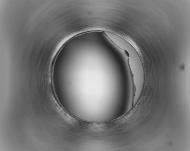 X0000091531148200709141430