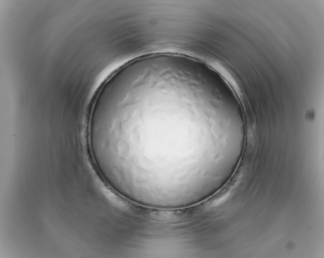 X0000091531149200709141430