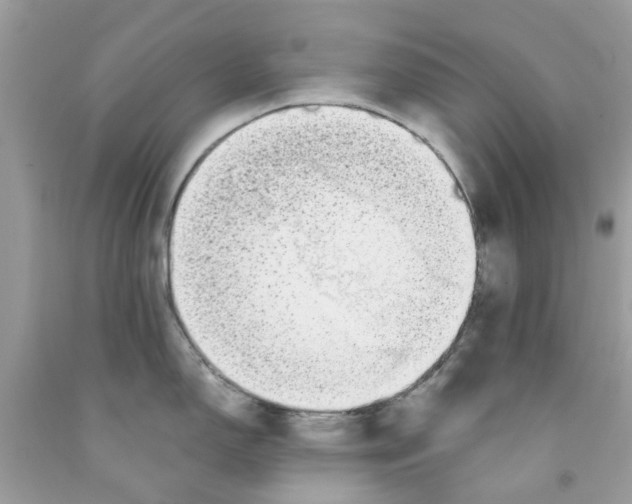 X0000091531150200709141430