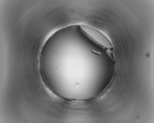 X0000091531151200709141430