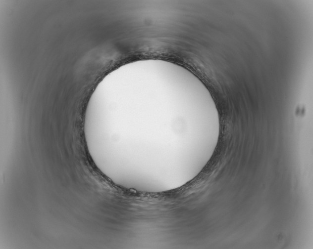 X0000091531153200709141429