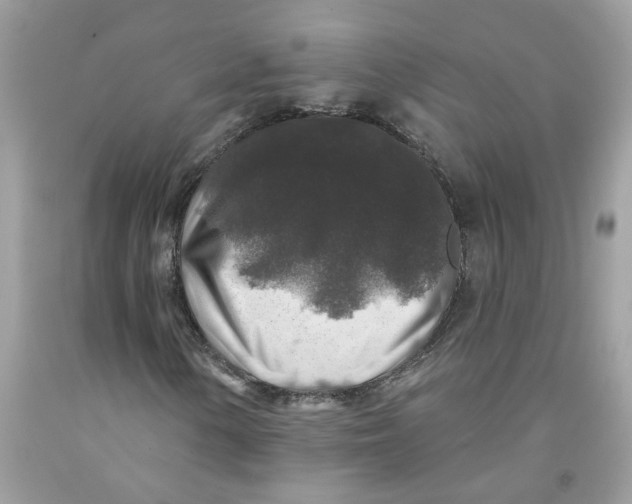 X0000091531154200709141429