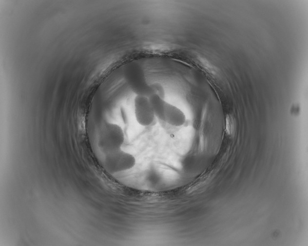 X0000091531155200709141429