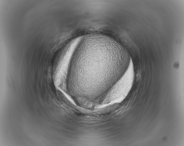 X0000091531156200709141429