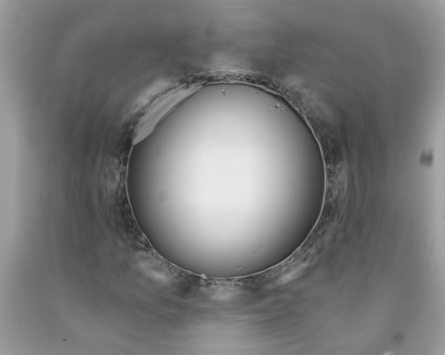 X0000091531157200709141429